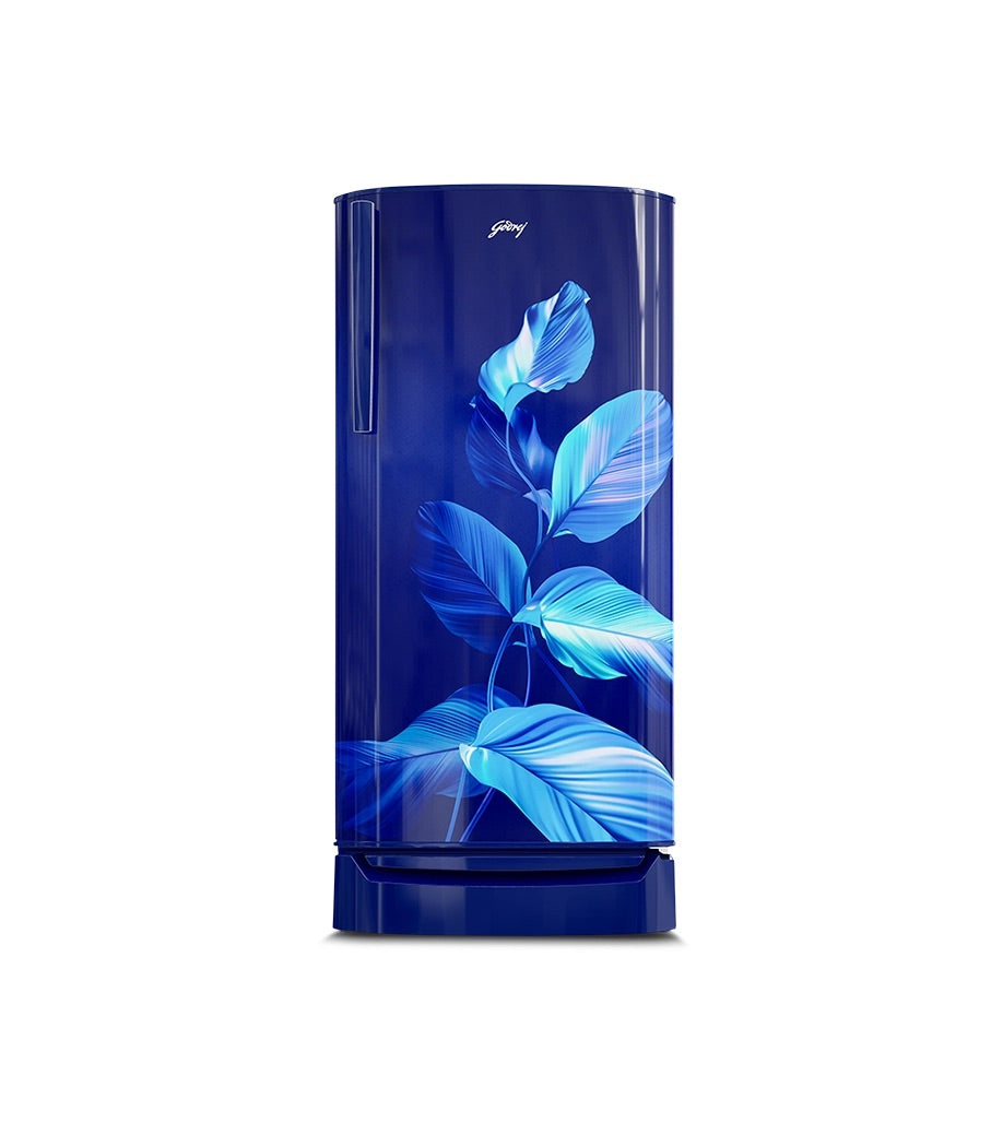 Godrej 180L 2 Star Double Door Refrigerator (Sea Blue, RIOPLS 205B THF SE BL)