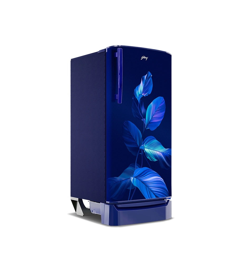 Godrej 180L 2 Star Double Door Refrigerator (Sea Blue, RIOPLS 205B THF SE BL)