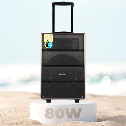 Zebronics Monster Pro 2X12L2