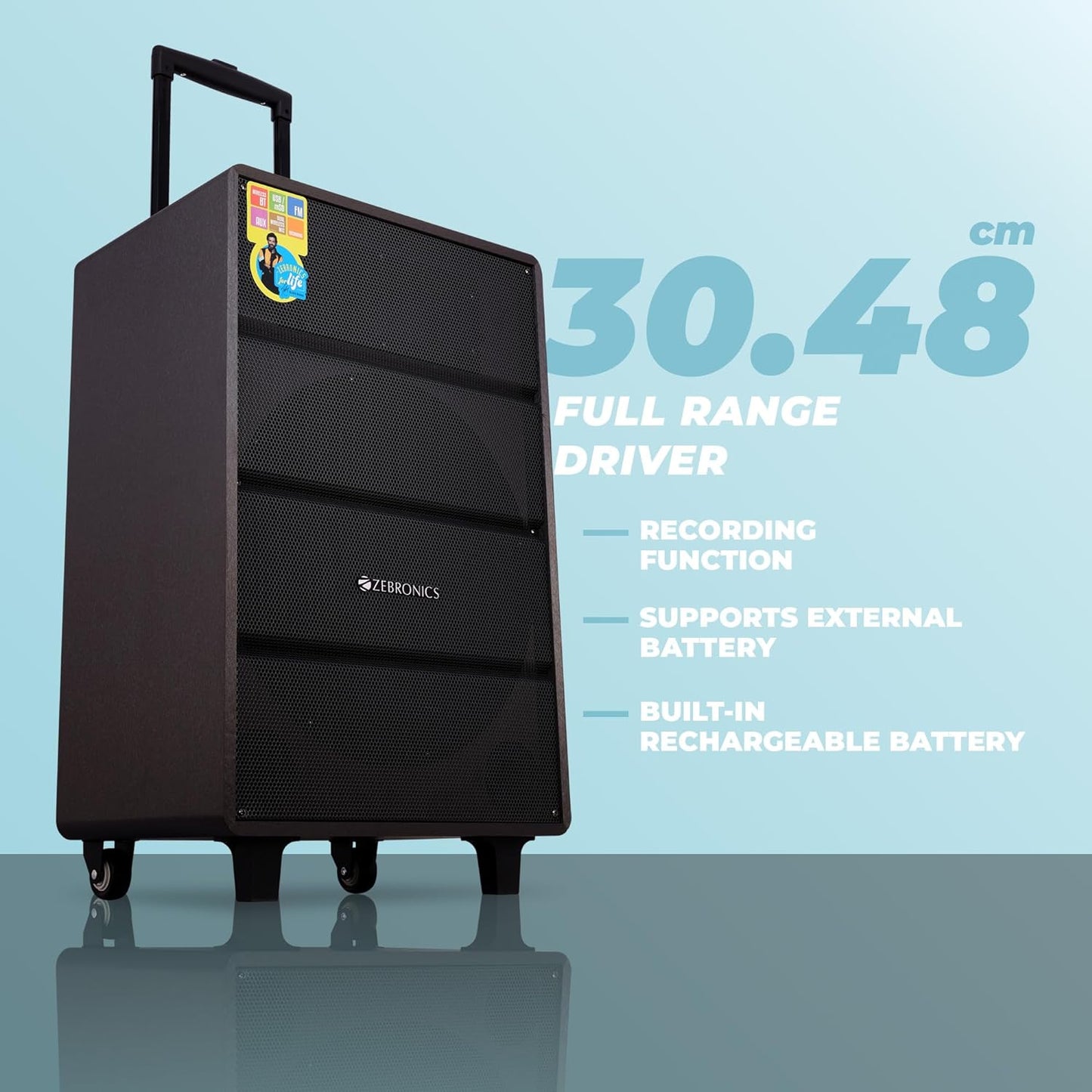 Zebronics Monster Pro 2X12L2