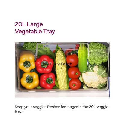 Godrej 180L 2 Star Double Door Refrigerator (Steel Glow, RIOPLS 205B TDF ST GL)